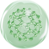 exoluma_img11