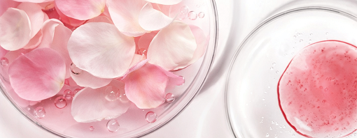 Rose Stem Cell Exosomes